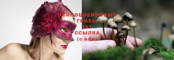 бошки Арсеньев