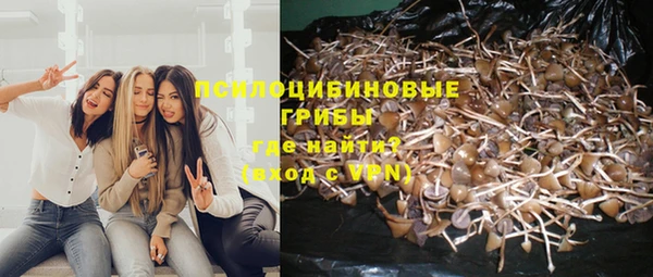 бошки Арсеньев