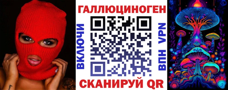 Галлюциногенные грибы Psilocybe  закладка  Кизляр 